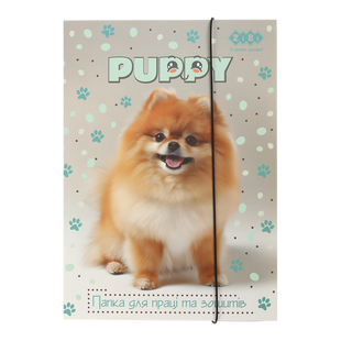 Папка для праці та зошитів DOG, картонна, на гумці А4 (225x316мм), KIDS Line ZB.14940-22 фото